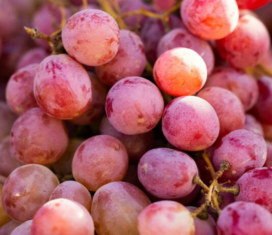 운동과 면역력 증진: 건강한 신체를 위한 전략 a bunch of grapes that are sitting on a table