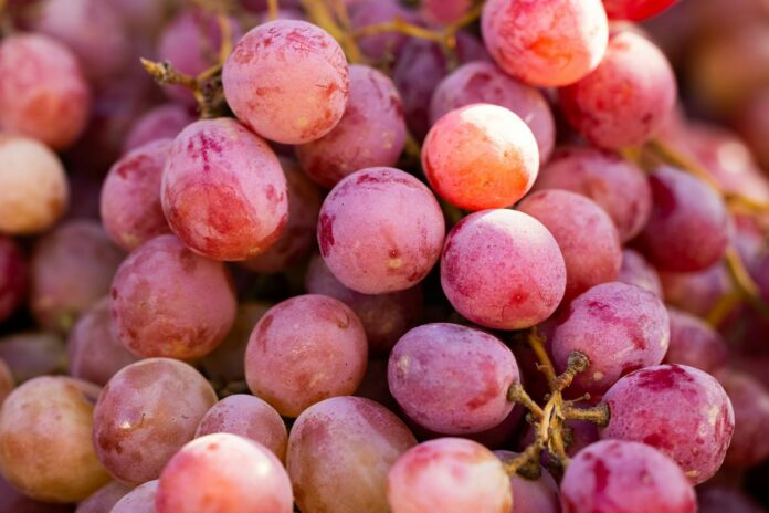 Photo by engin akyurt a bunch of grapes that are sitting on a table