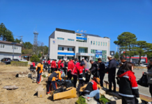 울진국유림관리소, 식목일 맞아 무료로 나무를 나누어 드립니다!