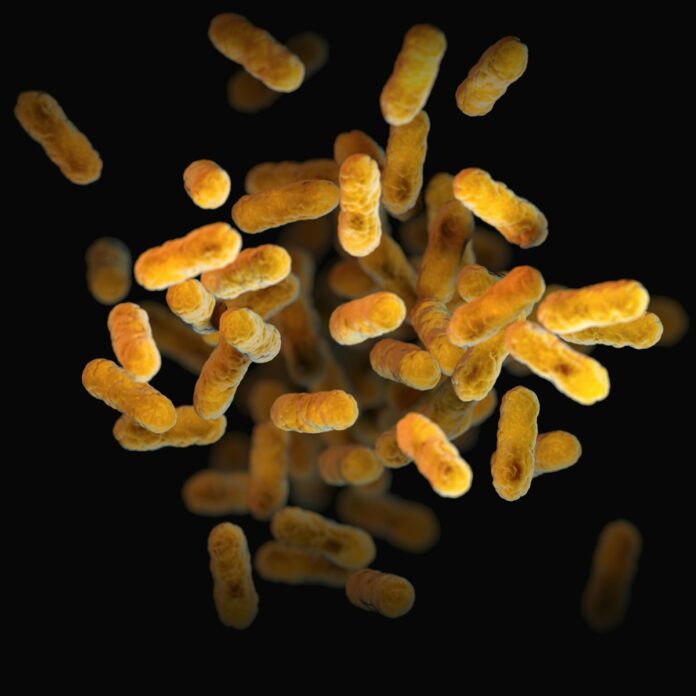 Photo by CDC a close up of a bunch of small yellow things