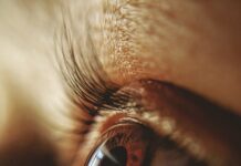 “눈이 자주 침침하고 피곤해요”…초여름 안구 피로, 놓치기 쉬운 신호들 persons eye in close up photography