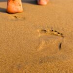 뒤로 걷기와 옆으로 걷기: 쓰지 않던 근육을 깨우는 ‘변칙 워킹’의 반전 Footprints on a sandy beach leading away