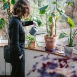 ‘슬기로운 직장인 건강관리’…소소한 변화가 만드는 활기찬 하루 a woman watering plants in a window sill