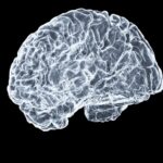 뇌건강, 생활 속 작은 변화가 큰 차이를 만든다 a close up of a human brain on a black background
